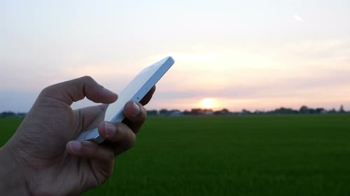Man Chatting In Social Media On Smart Phone In Garden