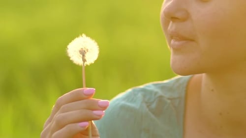 Woman Blowing Dandelion Seeds in Green Field