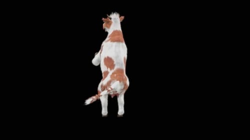 3D Animated Dancing Cow Loop