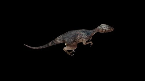 Vue de dessus de la promenade Deinonychus