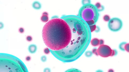 Dynamic Microscopic Cells Interacting and Merging Animation