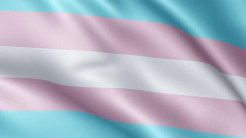 Flag of Transgender Pride | UHD | 60fps