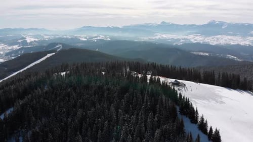 Aerial Ski Slopes with Skiers and Ski Lifts on Ski Resort. Snowy Mountain Forest