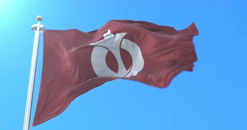 Realistic Waving Flag with Abstract Symbol Animation