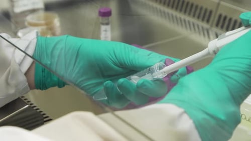 Scientist Makes a Scientific Experiment