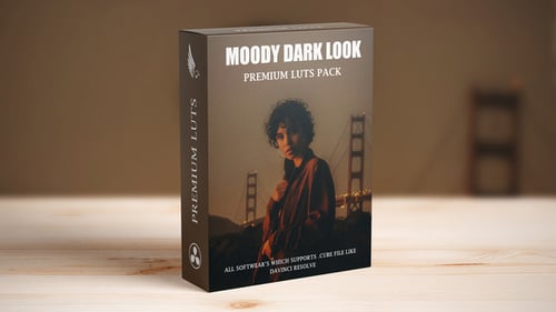 Dark Aesthetic Urban Moody Landscape Film Look Cinematic LUTs