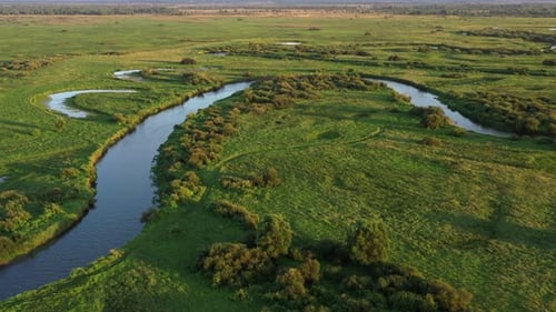 A winding river flows through a swampy plain and forest, aerial view.