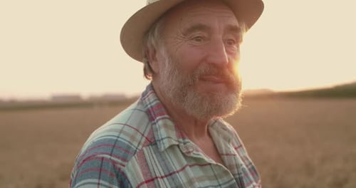 Portrait of Happy Senior Farmer Nodding Head, Talking and Rejoicing in Field