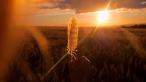 Hand Holding Feather in Golden Rural Sunset Light