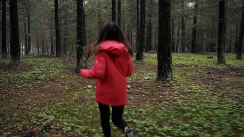 Forest Running