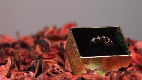 Ringgeschenk zum Valentinstag