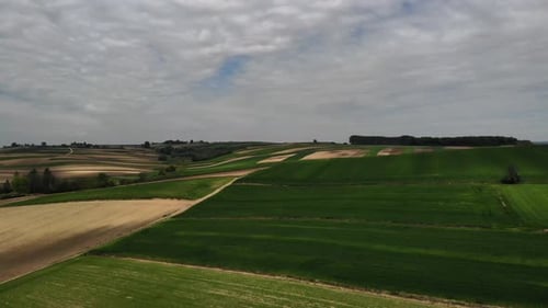 Picturesque Aerial View of Rolling Farmland