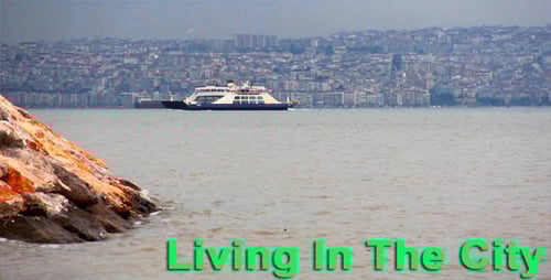 Living In The City
