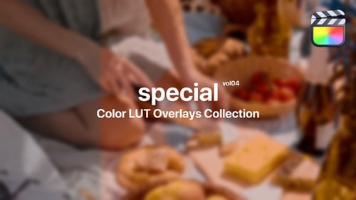 Professional Video Color Presets and LUT Overlays
