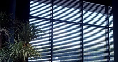 Stylish Window Blinds with Potted Plants
