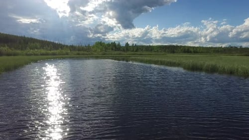 Lake surrounded by vegetation