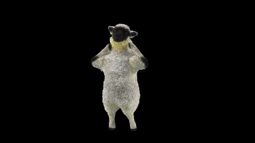 Funny Dancing Black-Faced Sheep Looping Animation