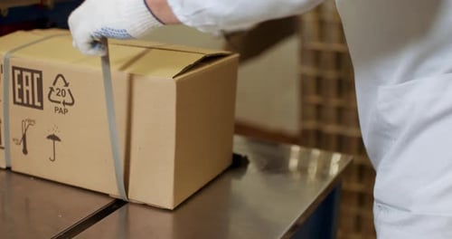 Manufacture of Food Products, Working the Packer Closes and Packs the Cardboard Box with the