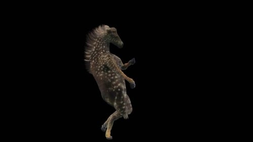 Dancing Spotted Fawn on Hind Legs Animation