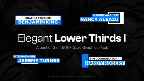 Clean Corporate Lower Thirds Title Pack