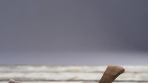 Bowl of Grains with Wooden Spoon Still Life