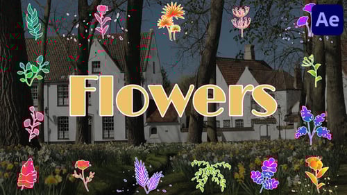 Flowers Pack for After Effects