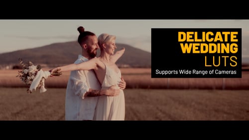 Delicate Wedding Color LUTs