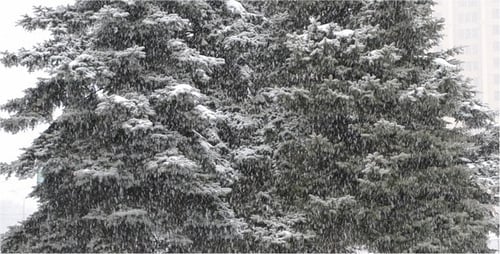 Blizzard 2