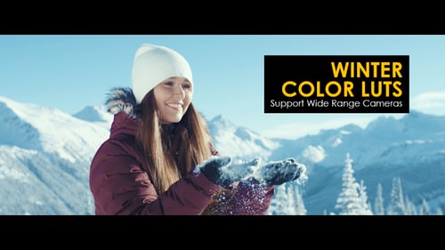 Winter Color LUTs