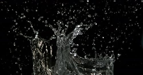 Water Splash on Black Background in Slow Motion