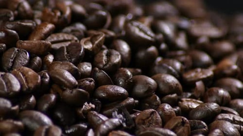 Pile of Roasted Coffee Beans Close Up