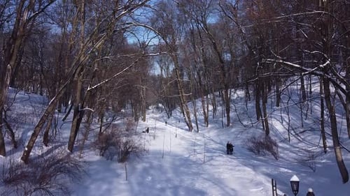 Luftaufnahme einer Drohne, die über den Winterpark fliegt.