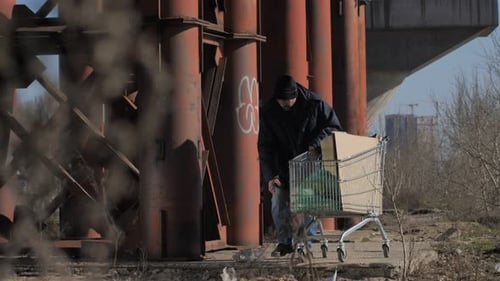 Man Pushing Cart Under Bridge in Urban Area
