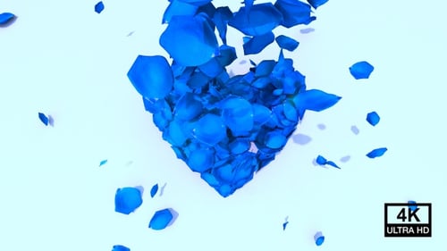 Falling Blue Rose Petals Forming Heart Animation