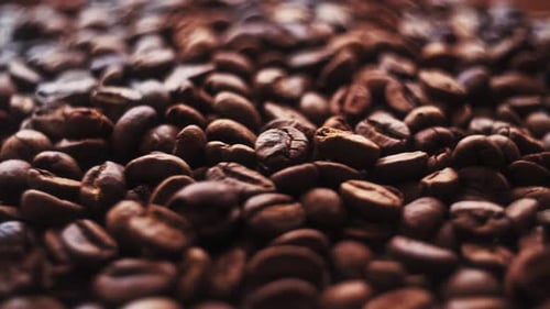 Brown Roasted Coffee Beans. Close Up