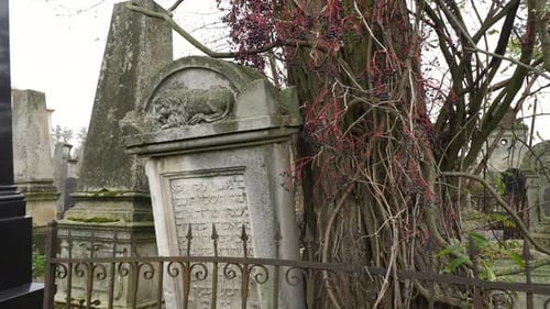 Grabsteine auf einem Friedhof