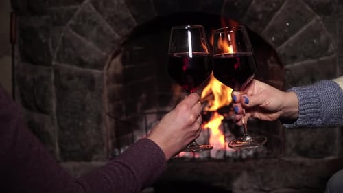 Deux femmes tintent des verres l'une avec l'autre avec un verre de vin