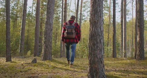 A Young Man Walks Uphill From the Forest in Autumn in Slow Motion with a Backpack. A Hipster Man in