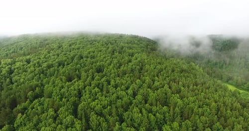 Flying over the forest on a drone.