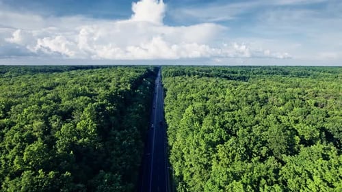 Passeio de carro na estrada pela floresta no campo