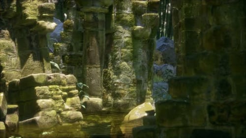 Ruined Ancient Stone House Overgrown with Plants and Ferns in Dense Green Forest