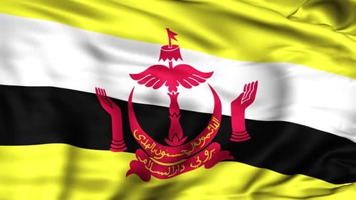 Brunei Darussalam Flag Waving Realistic Loop Animation