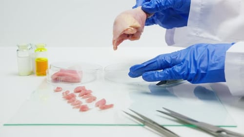 Raw Chicken Leg Examined Under Sterile Lab Conditions