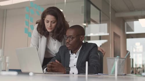 Pair of Diverse Colleagues Discussing New Project