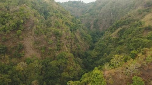 View of Mountain Forest Landscape