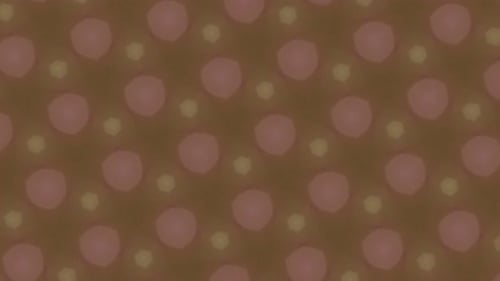 Abstract Morphing Geometric Kaleidoscopic Background Loop