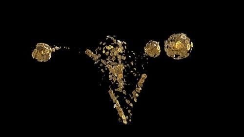 Golden Bitcoin Particles Rise and Form Digital Explosion Reveal