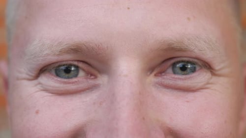Detail View Blue Eyes of Man Staring and Blinking with Happy Sight
