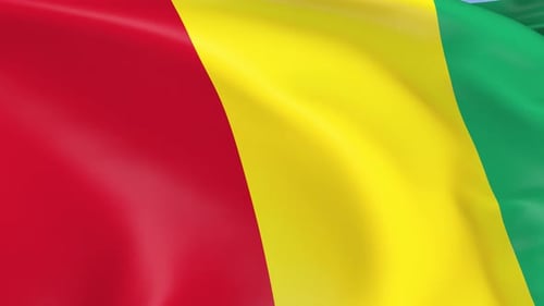 Realistic Waving National Flag Animated Loop Background