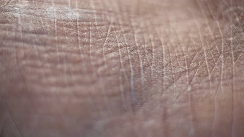 Extreme Close-Up of Skin Texture